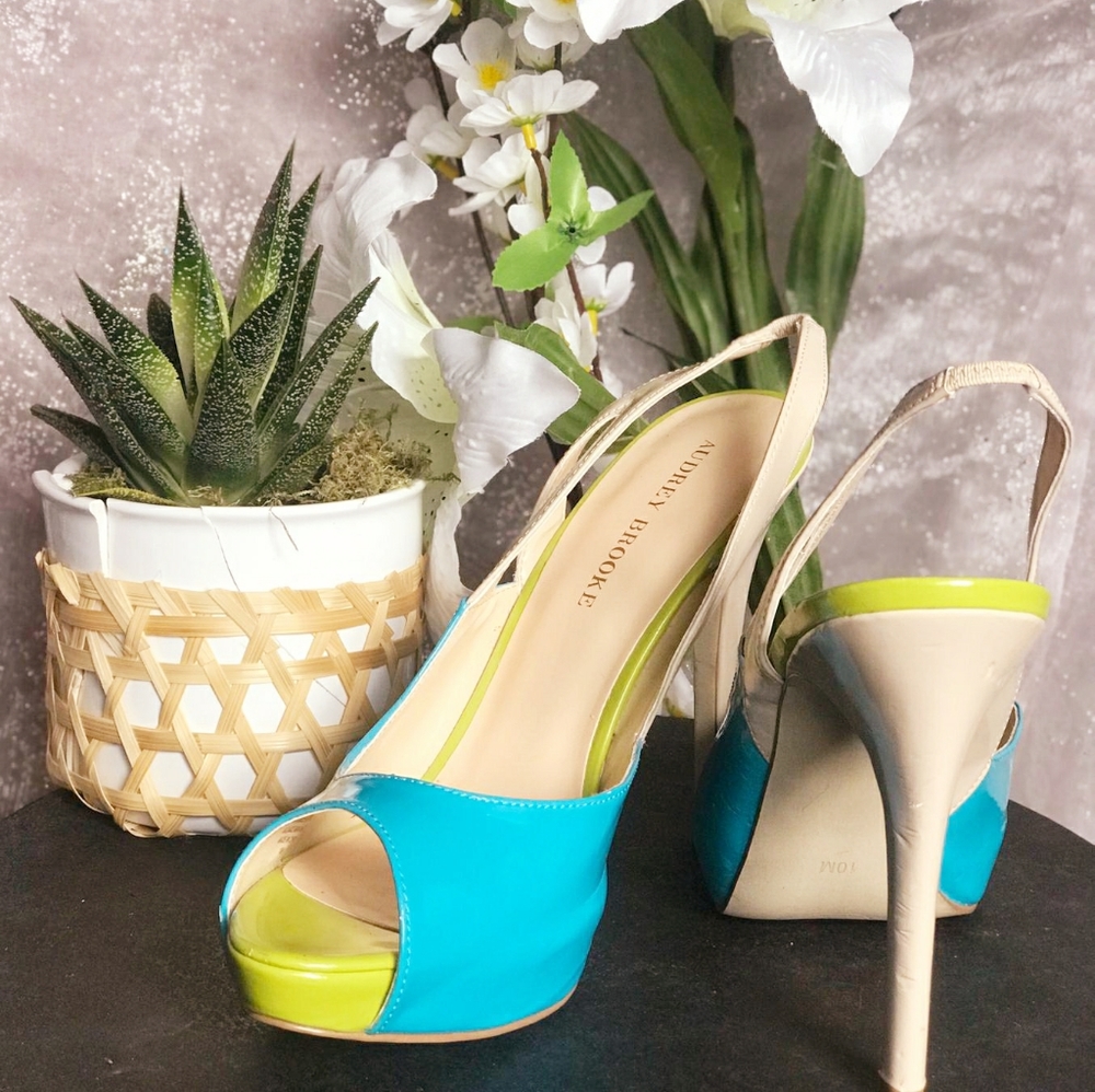 Shoes- Audrey Brooke heels